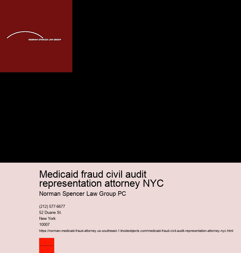 What is the Significance of a Medicaid Fraud Attorney in NYC's Legal System?