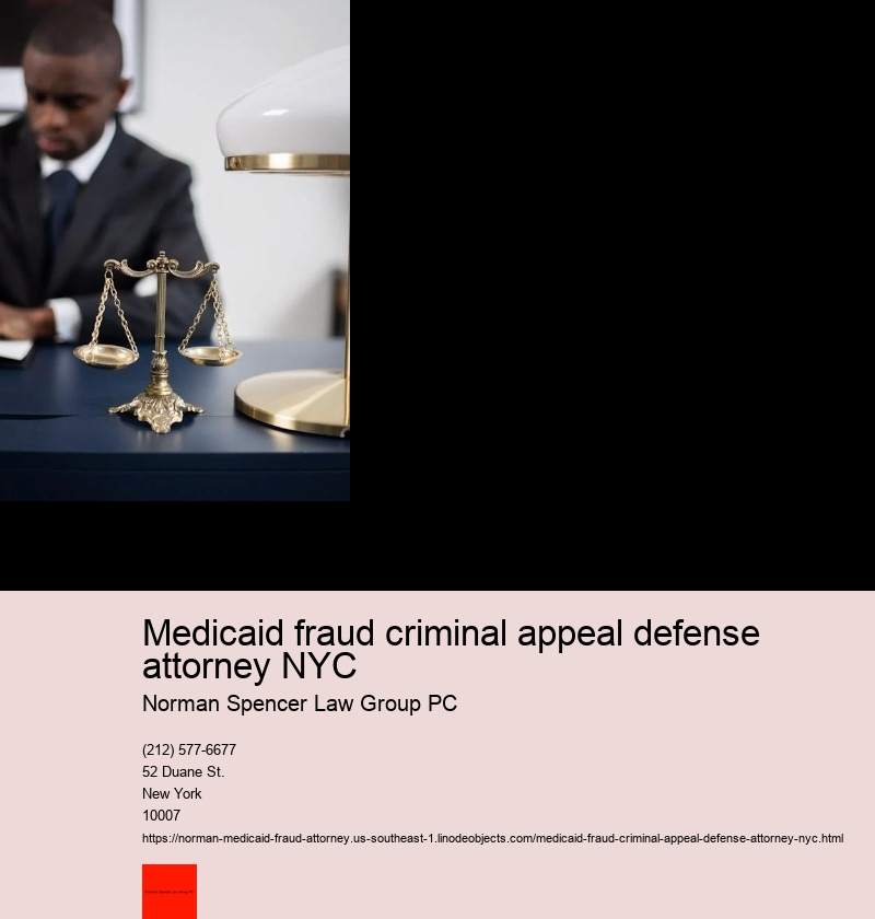 How to Fight Medicaid Fraud Charges with a Professional NYC Attorney
